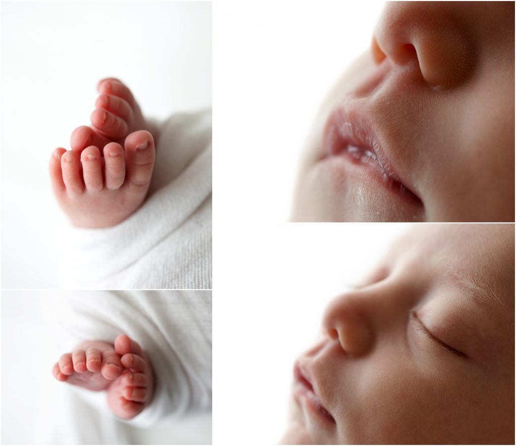 Newborn macro photography